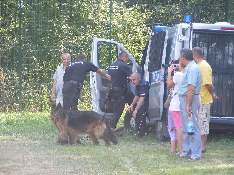 01.07.12r. FESTYN 132